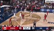FIBA也有交手🤔不懂就问，狄龙单打詹姆斯这球有推人吗